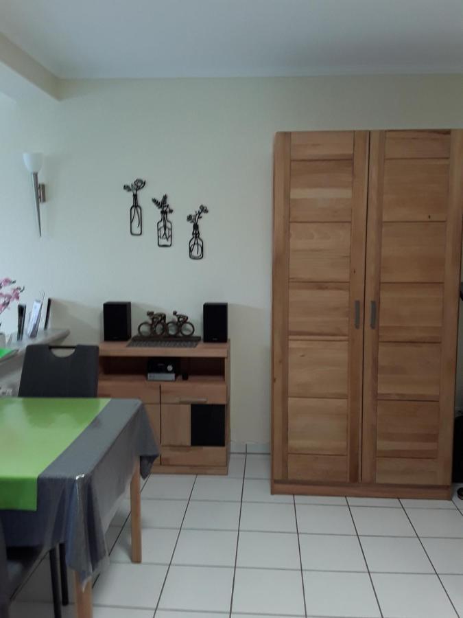 צל אן דר מוזל Ferienappartement Wagner מראה חיצוני תמונה